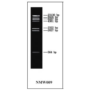 Lambda DNA/HindⅢ Marker试剂