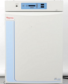 高温灭菌二氧化碳培养箱 184L 5～50℃ （仅限科研用途）||Forma371|Thermo Fishe