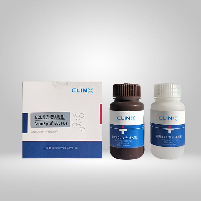 超敏化学发光液试剂|Chemi Signal ECL Plus（50ml+50ml）|勤翔/Clinx