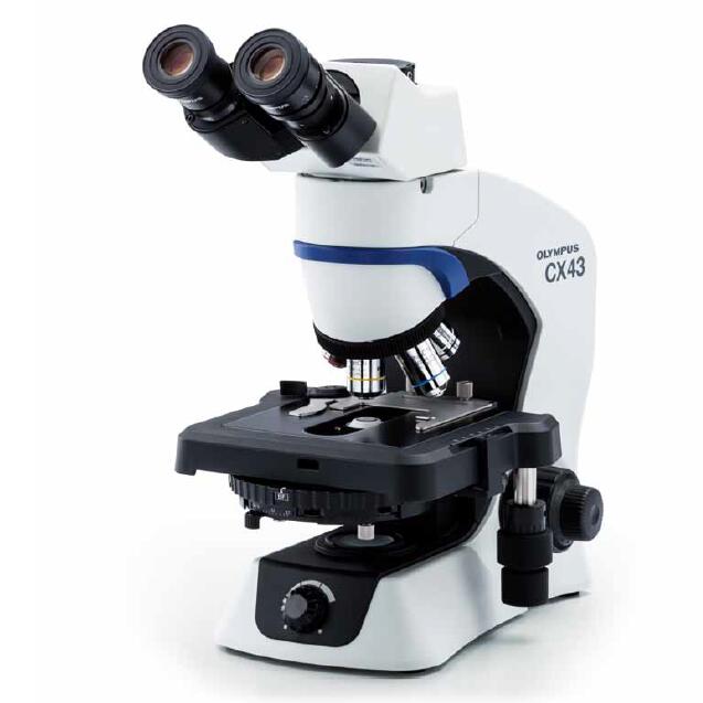 生物显微镜|CX43|Olympus/奥林巴斯