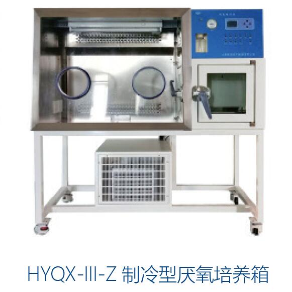 厌氧培养箱（制冷型，液晶屏显示） 57L 10℃ ~60℃|HYQX-III-Z|恒字