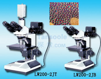 金相显微镜|LW200-2JT|测维