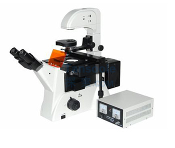 三目倒置荧光显微镜|LWD300-38LFT|测维