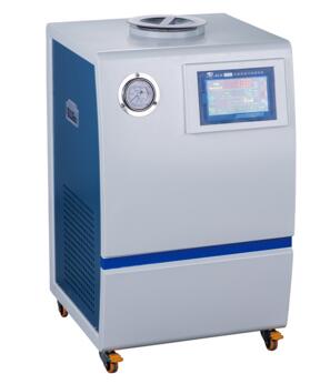 快速低温冷却循环泵 10L，-20℃～室温，20L/min|DLK-2010|新芝/Scientz