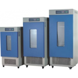 霉菌培养箱 250L 0～60℃ 数显（仅限科研用途）|MJ-250-I|一恒