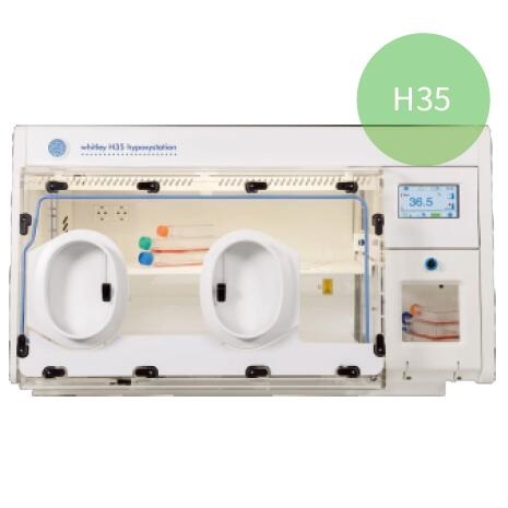 低氧细胞工作站||H35|DWS
