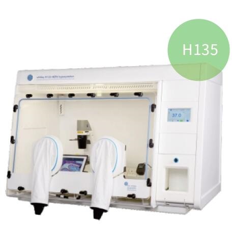 低氧细胞工作站||H135|DWS