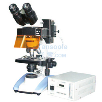 荧光显微镜|LW100FB|测维