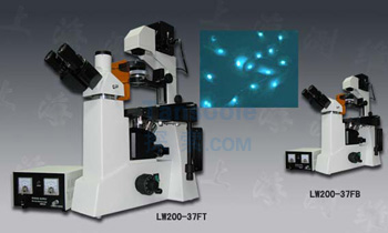 三目倒置荧光显微镜|LWD200-37FT|测维
