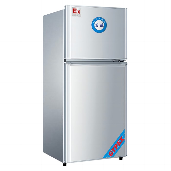 防爆冰箱-双门双温2℃～8℃,70L；-18℃～0℃,30L|BL-200SM100L|广东英鹏