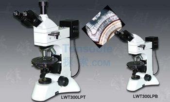 三目透反射偏光显微镜|LWT300LPT|测维