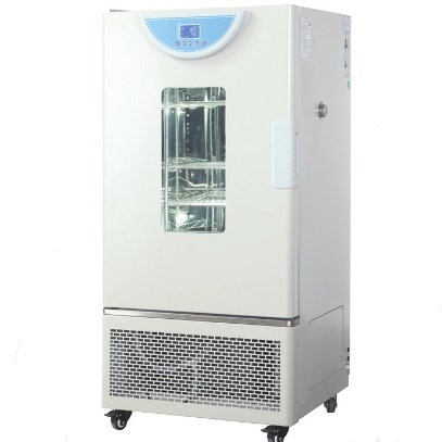 霉菌培养箱 150L -5～70℃ 液晶多段可编程（仅限科研用途）|BPMJ-150F|一恒