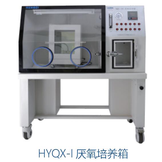 厌氧培养箱（ 数码管显示）13L RT+3℃ ~60℃|HYQX-I|恒字