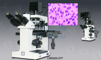 三目倒置生物显微镜|LWD200-37T|测维