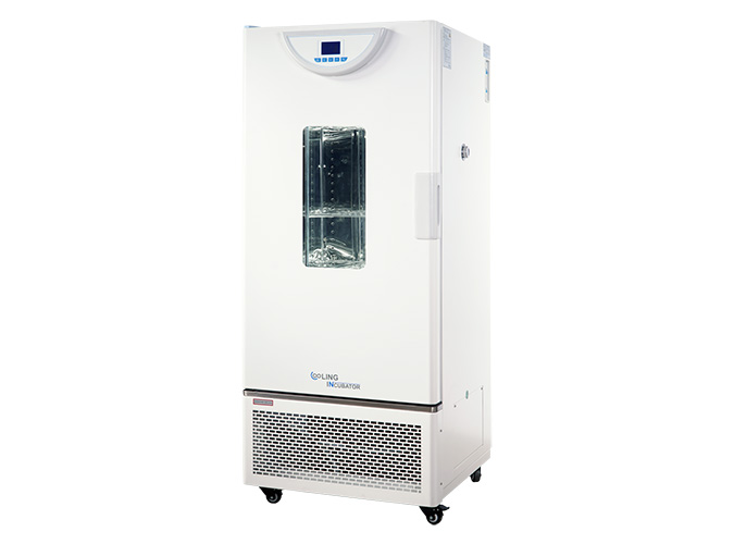 霉菌培养箱 液晶屏 500L -5～70℃（仅限科研用途）|BPMJ-500F|一恒