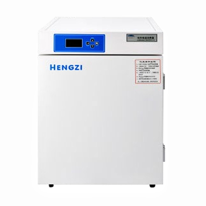 电热恒温培养箱 270L RT+5～60℃|HDPF-256|恒字