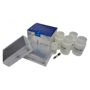 杭州比格飞序 核酸提取或纯化试剂 Magpure病毒DNA/RNA纯化试剂盒