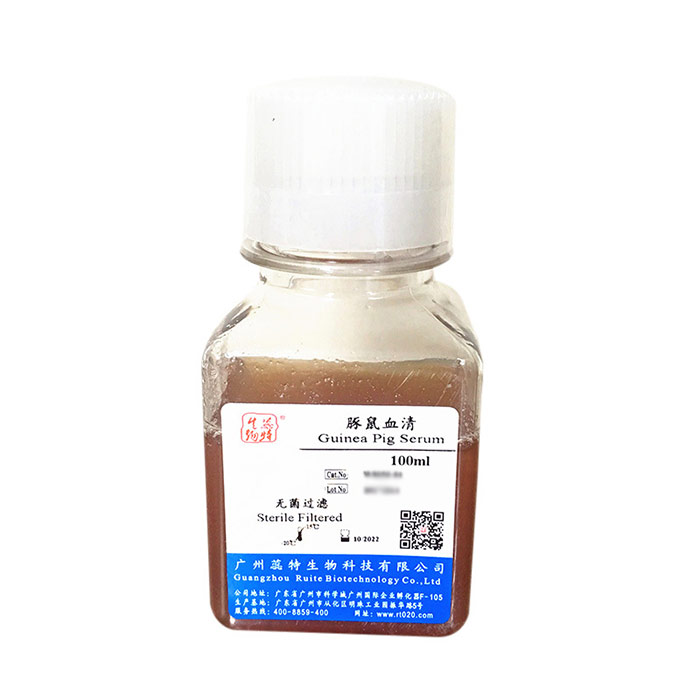 豚鼠血清|Guinea Pig Serum|蕊特生物|100ml