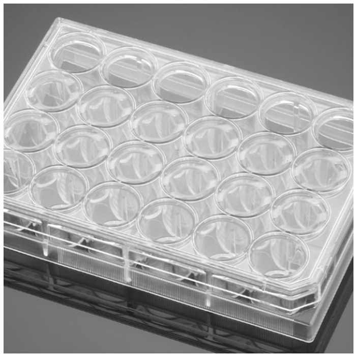 多聚-D-赖氨酸包被的24孔板Poly-D-Lysine 24 Well Clear Flat Bottom TC-Treated Multiwell Plate, with Lid|24孔|Biocoat