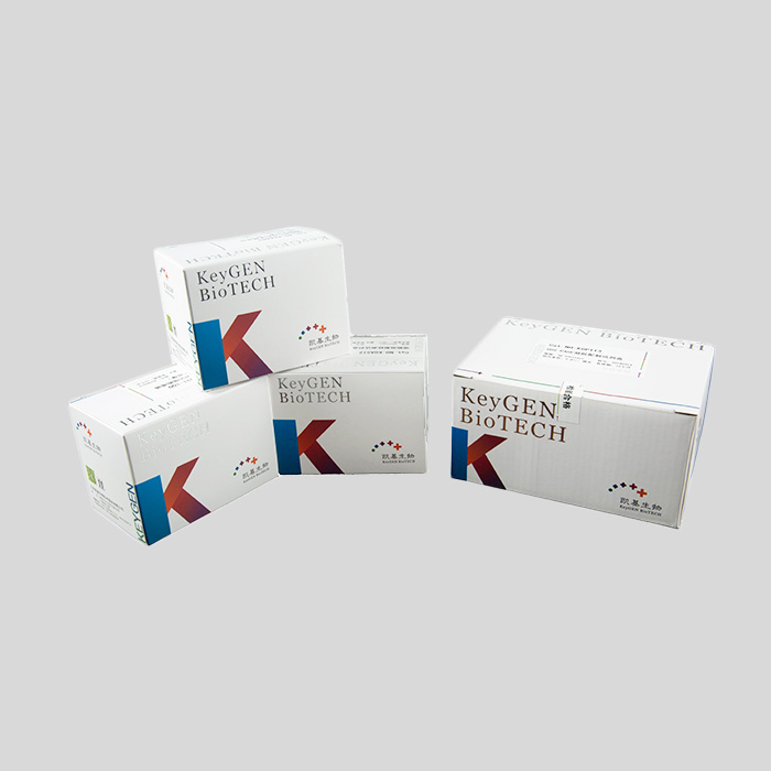 100×Proteinase K (20mg/ml)|KeyGEN/凯基|1 ml