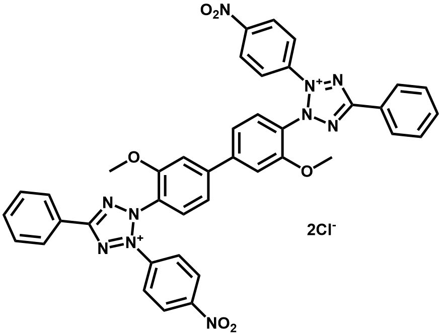 氯化硝基四氮唑蓝|Nitro Blue Tetrazolium|298-83-9|VWR/Amresco|ULTRA PURE GRADE|500MG