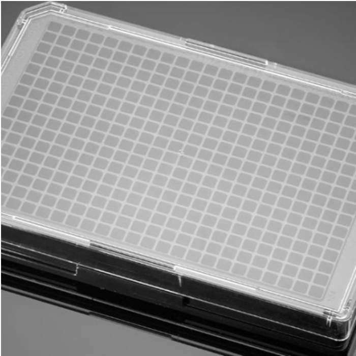 Ⅰ型胶原包被的384孔板Collagen I 384 Well Black/Clear Flat Bottom TC-Treated Microplate, with Lid|384孔|Biocoat