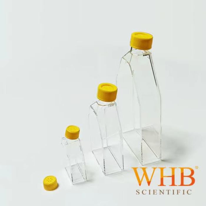 75cm²培养瓶，250ml，透气盖，TC处理，灭菌|250ml|卧宏/WHB