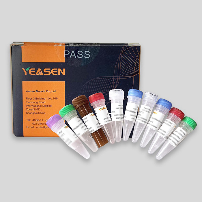 GSTSep Glutathione 4FF Chromatography Column, 5ML（GST标签蛋白纯化预装柱，5ML）||||Yeasen/翌圣|5×5ml