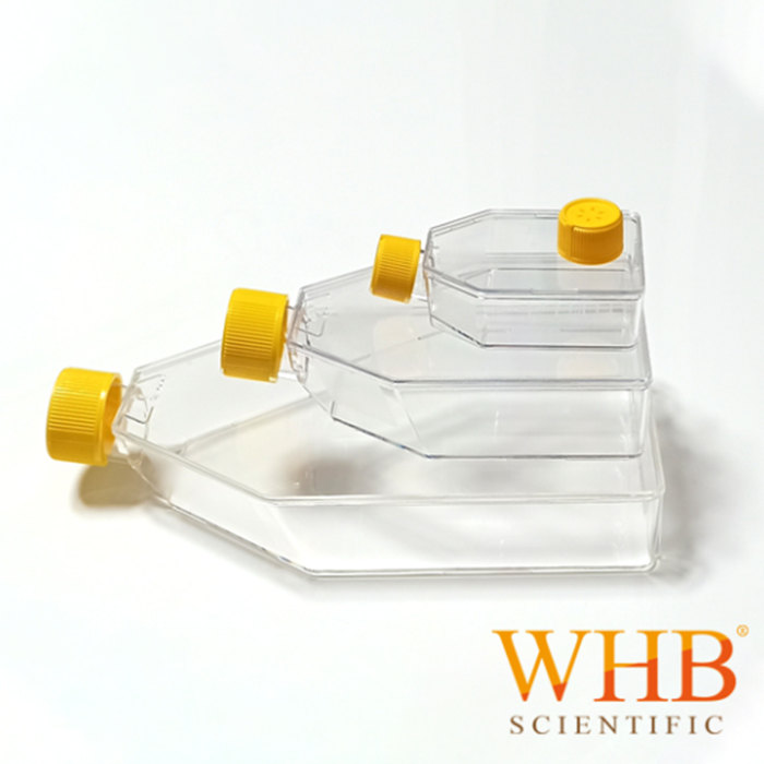 层粘连蛋白包被25cm2培养瓶 50ml 密封盖 灭菌|50ml|卧宏/WHB