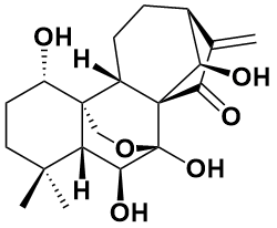 冬凌草甲素|Oridonin|28957-04-2|源叶|100mg