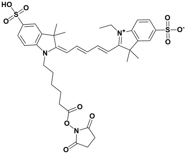 2-(5-(1-(6-((2,5-二氧代吡咯烷-1-基)氧基)-6-氧代己基)-3,3-二甲基-5-磺基吲哚啉-2-亚基)戊-1,3-二烯-1-基)-1-乙基-3,3-二甲基-3H-吲哚-1-鎓-5-磺酸内盐|2-(5-(1-(6-((2,5-Dioxopyrrolidin-1-Yl)Oxy)-6-Oxohexyl)-3,3-Dimethyl-5-Sulfoindolin-2-Ylidene)Penta-1,3-Dien-1-Yl)-1-Ethyl-3,3-Dimethyl-3H-Indol-1-Ium-5-Sulfonate|146368-14-1|源叶|25mg