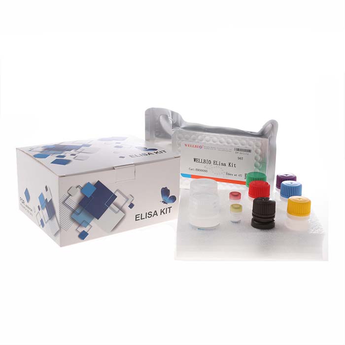 小鼠BH3结构域凋亡诱导蛋白酶联免疫试剂盒|Mouse Bid ELISA Kit|WELLBIO/上海威奥生物|48T