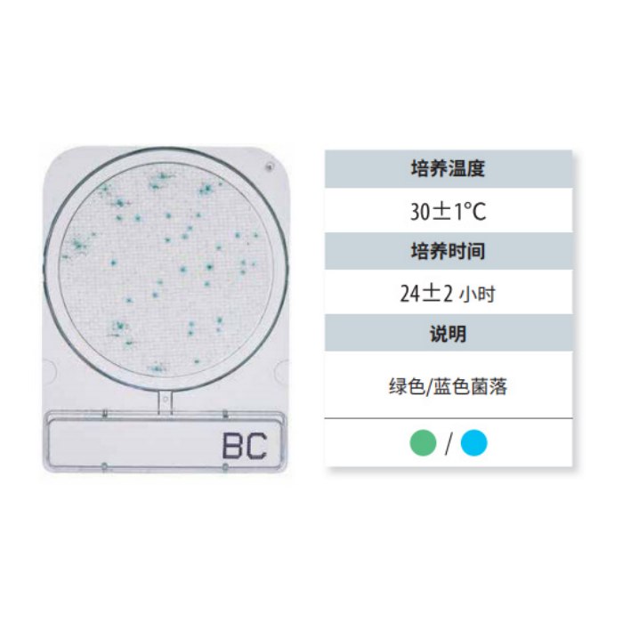 蜡样芽胞杆菌测试片|240片|Shimadzu/岛津