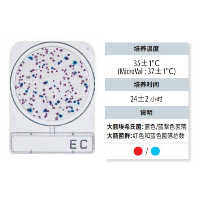 大肠埃希氏菌和大肠菌群测试片|240片|Shimadzu/岛津