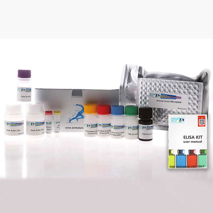 Human HLA-DRA &HLA Class II DR alpha ELISA Kit（人hlaⅡ类组织相容性抗原)|爱萌优宁|48T