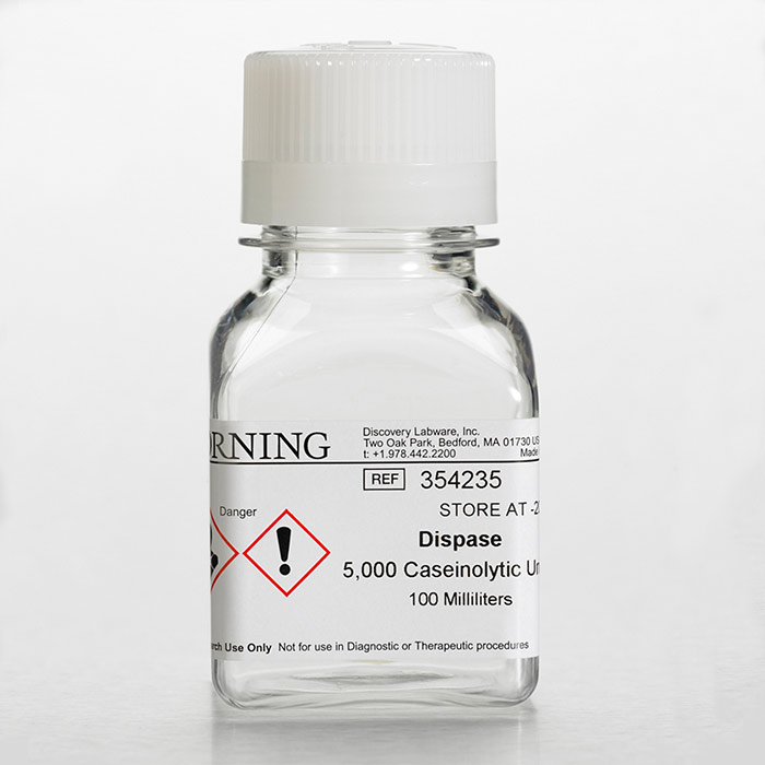 Dispase 酶(354235)|Corning-DL Reagent|100 mL