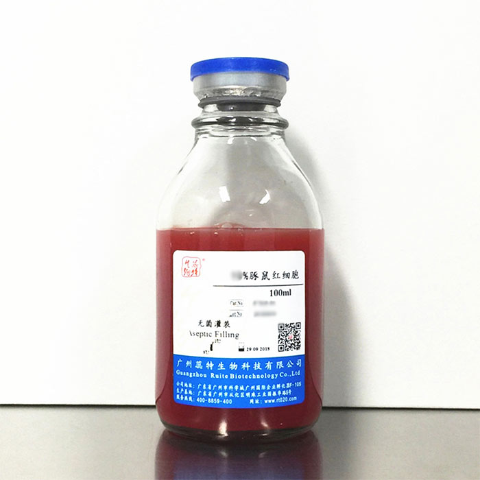 1%豚鼠红细胞|1% guinea pig erythrocytes|蕊特生物|100ml