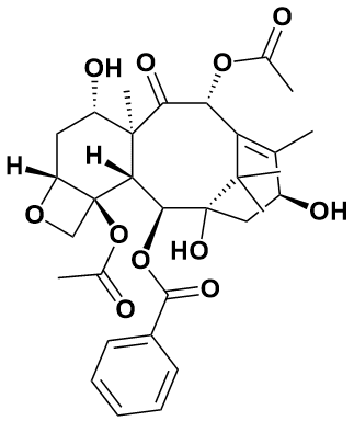 巴卡亭 Ⅲ|Baccatin III|27548-93-2|Adamas life|≥98%（以实测数值为准）|BR|100mg