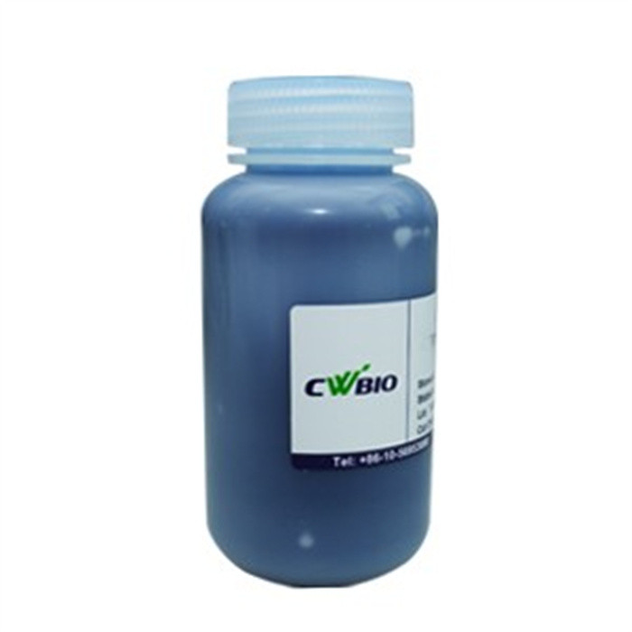 ProteinShow-G250蛋白快速染色试剂|Cwbio/康为世纪|250ml