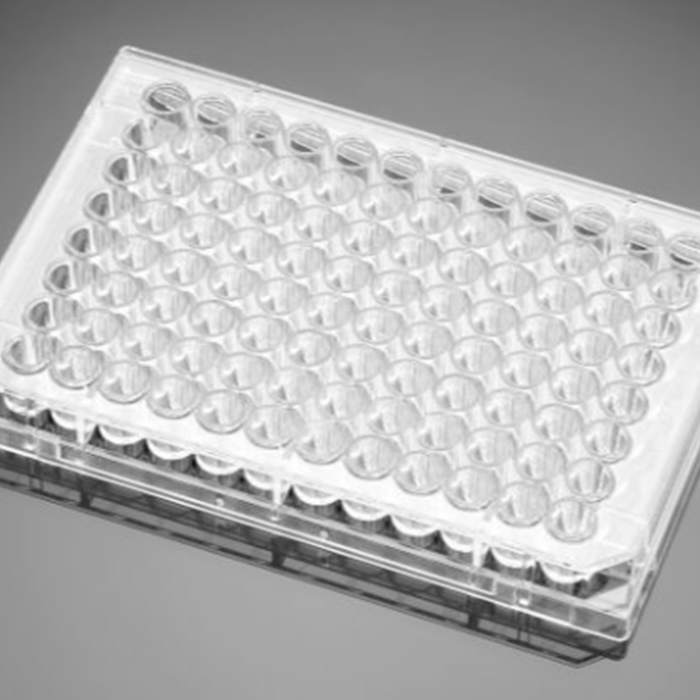 多聚-D-赖氨酸包被的96孔板Poly-D-Lysine 96 Well Clear Flat Bottom Microplate|96孔|Biocoat