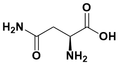 L-(+)-天冬酰胺酸|L-Asparagine|70-47-3|Adamas life|Suitable 