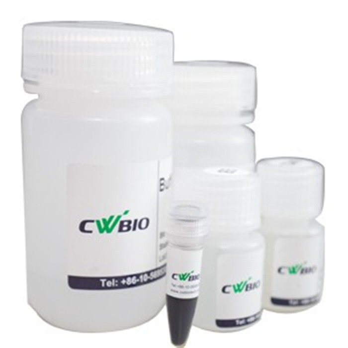 磁珠法血液DNA提取试剂盒|Cwbio/康为世纪|96次