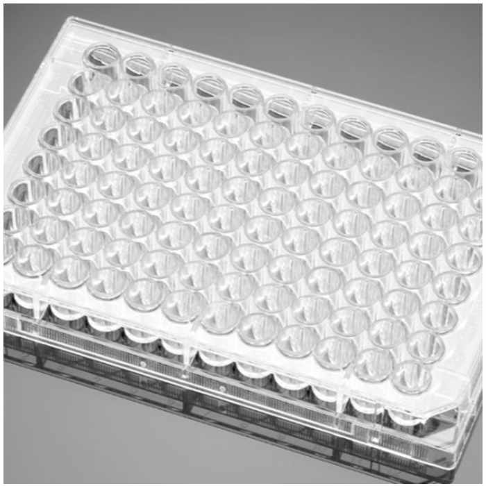 多聚-D-赖氨酸包被的96孔板Poly-D-Lysine 96 Well Clear Flat Bottom TC-Treated Microplate, with Lid|96孔|Biocoat