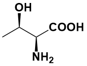 L-苏氨酸|L-Threonine|72-19-5|VWR/Amresco|USP GRADE|500G