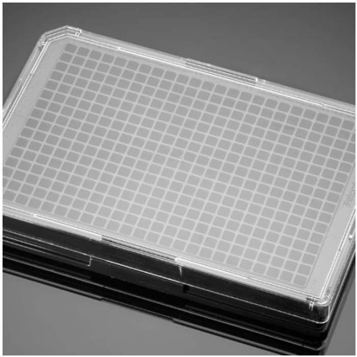 多聚-D-赖氨酸包被的384孔板Poly-D-Lysine 384 Well Black/Clear Flat Bottom TC-Treated  Microplate 爆款|384孔|Biocoat