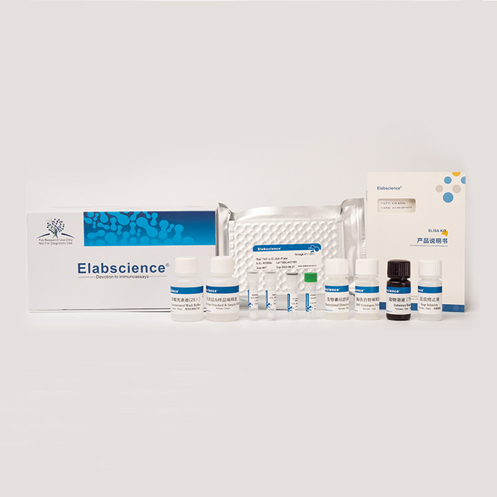 人E选择素(SELE)酶联免疫吸附测定试剂盒|Human SELE(E-Selectin) ELISA Kit|Elabscience/伊莱瑞特|48T