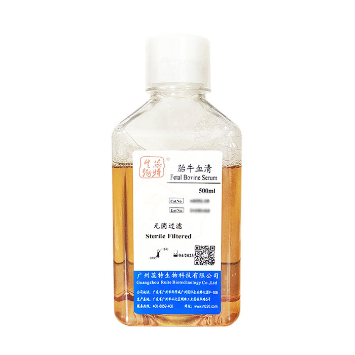 胎牛血清（标准）|Fetal Bovine Serum|蕊特生物|100ml