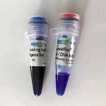 DNA分子量标准 NormalRun prestained 250bp-I DNA ladder,100-2000bp|Generay/捷瑞|100次