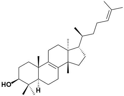 表大戟二烯醇|Tirucallol|514-46-5|Adamas life|≥98%（以实测数值为准）|B