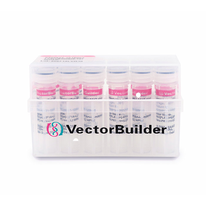 VB UltraStable™ 化学感受态细胞|VB UltraStableTM Chemically Competent Cells|VectorBuilder/云舟生物|100x100 ul